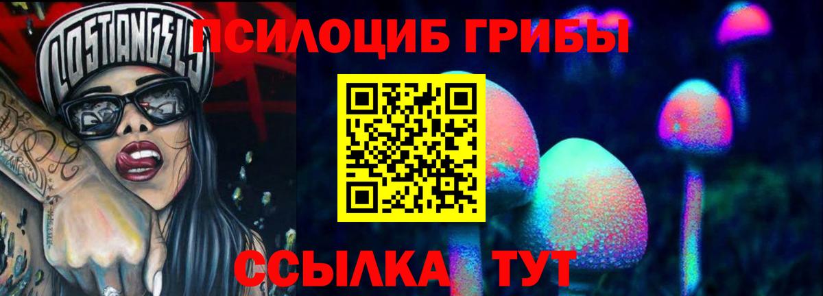 Псилоцибиновые грибы прущие грибы Коммунар